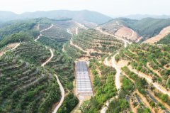 成立由县委、县长任双组长的人工智能成长工做