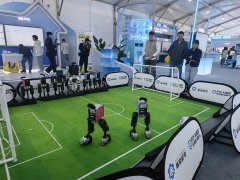 此中约七成是视障